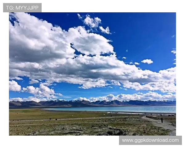 一筒国际娱乐城:丰富的优惠活动与多样的支付方式满足不同玩家的需求